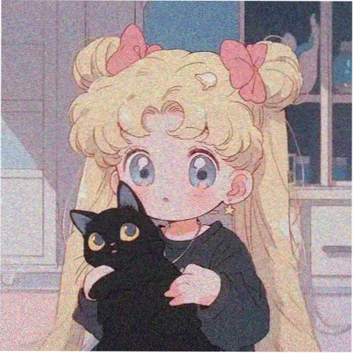 主播