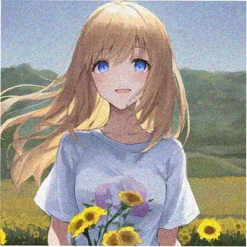 主播